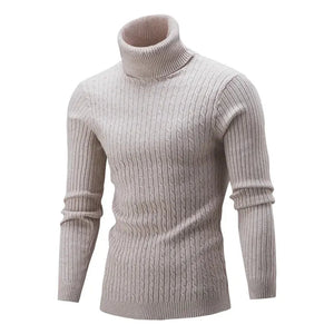 Winter Men's High Quality Turtleneck Sweater Thicken Sweater Casual Pullover - SPINGHAR