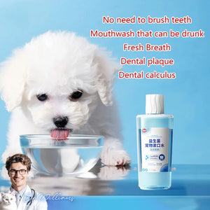 500ml/17ft Dental Care Dog Probiotic Mouthwash Plaques Remover Tartar Reducer Dental Health Water Additive Pet Supplies SPINGHAR