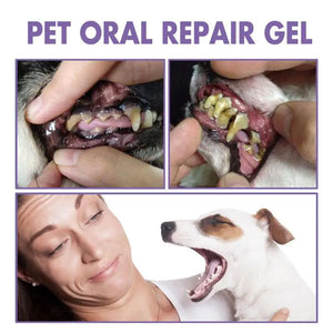 6ml Pet Teeth Cleaning Gel For Cats Dogs Teeth Cleaner Tartar Remover Oral Care Health Solution Pet Supplies SPINGHAR