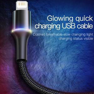 Baseus USB Cable For iPhone 12 11 13 Pro XS Max Xr X 8 7 6 LED Lighting Fast Charge Charger Date Phone Cable For iPad Wire Cord SPINGHAR