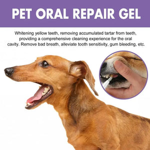 6ml Pet Teeth Cleaning Gel For Cats Dogs Teeth Cleaner Tartar Remover Oral Care Health Solution Pet Supplies SPINGHAR