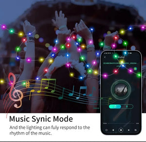 5M/10M/20M RGBIC LED Smart Fairy Lights Bluetooth APP Control String Light DIY for Christmas Party Wedding Home Decoration SPINGHAR