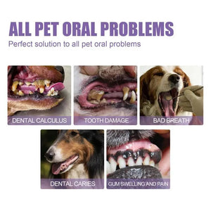 6ml Pet Teeth Cleaning Gel For Cats Dogs Teeth Cleaner Tartar Remover Oral Care Health Solution Pet Supplies SPINGHAR