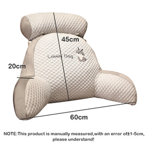 All-Season Reading Pillow with Lumbar Support and Headrest SPINGHAR