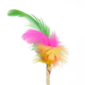 "Sisal Scratching Ball Toy for Cats – Interactive Play with Feathers" SPINGHAR