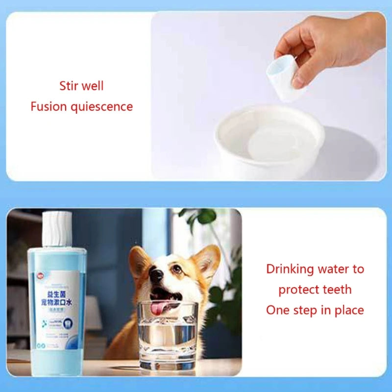 500ml/17ft Dental Care Dog Probiotic Mouthwash Plaques Remover Tartar Reducer Dental Health Water Additive Pet Supplies SPINGHAR