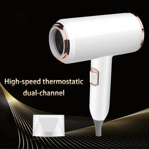 F33 T821 Professional Hair Dryer Hot Cold Wind Air Brush Hairdryer Negative Lonic Blow Dryer Strong PowerDryer Salon Tool 2400W - SPINGHAR