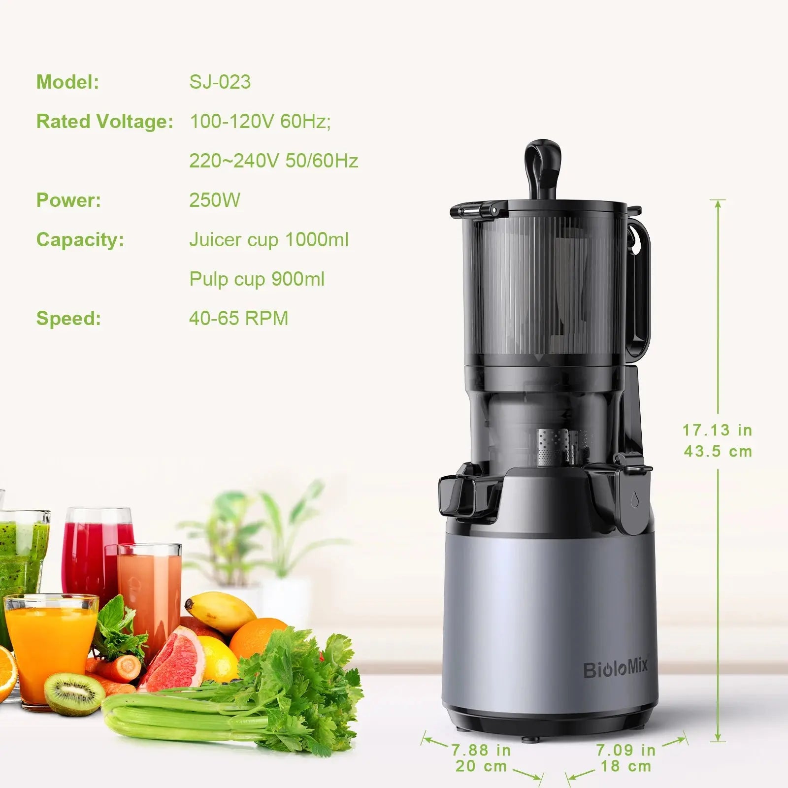 BioloMix Cold Press Juicer,with 130mm Feed Chute,Fit Whole Fruits & Vegetables,High Juice Yield,BPA FREE Slow Masticating Juicer - SPINGHAR