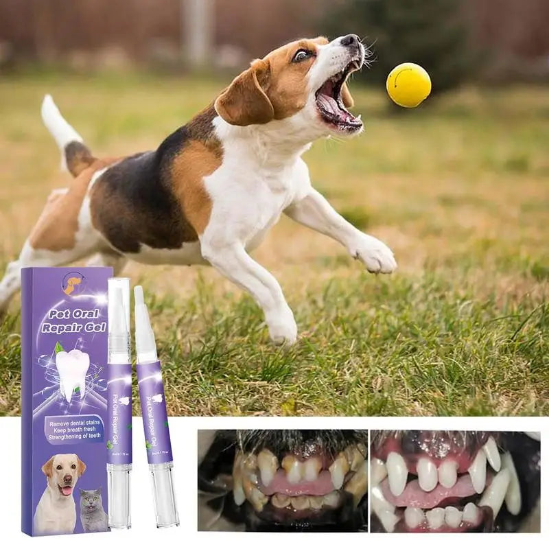 Pets Teeth Cleaning Gel Dog Tartar Remover Teeth Stains Removal Gel Pet Oral Care Dental Stones Scraper Cleaning Care Tools SPINGHAR