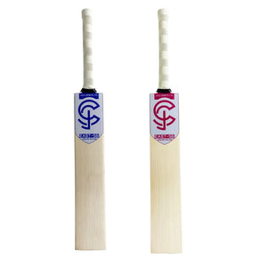 English Willow Cricket Bat with Shock Absorbing Handle - SPINGHAR